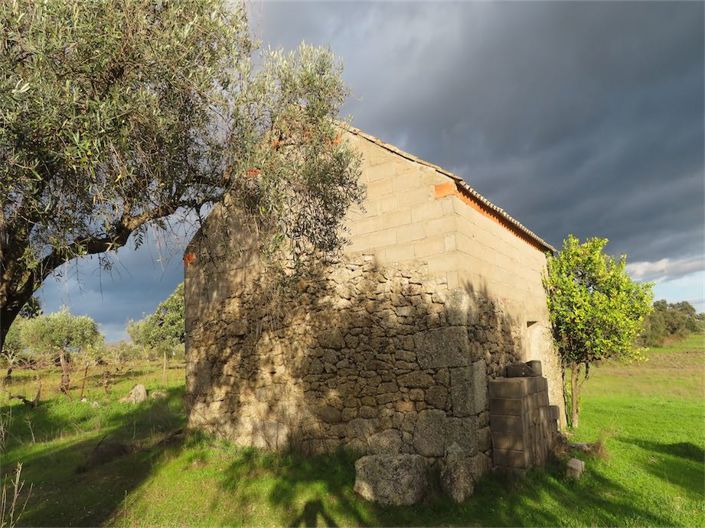 Image No.29-Propriété à vendre à Castelo Branco