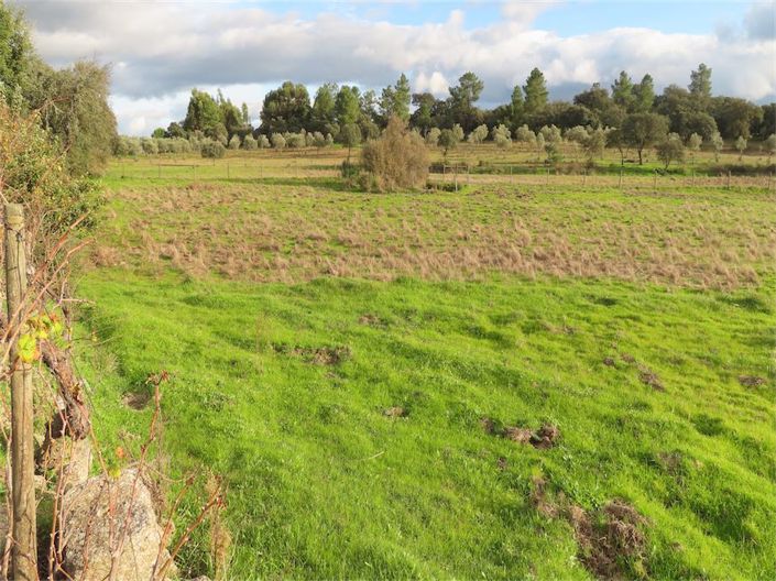 Image No.3-Propriété à vendre à Castelo Branco