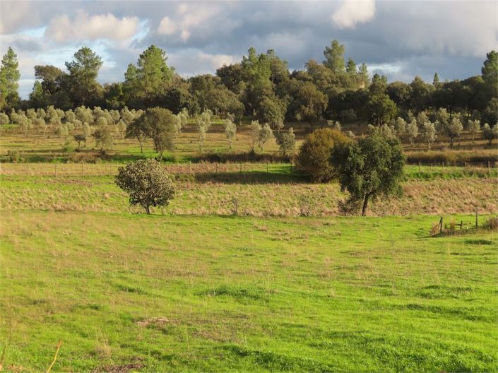 Image No.31-Propriété à vendre à Castelo Branco