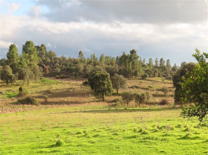 Image No.32-Propriété à vendre à Castelo Branco