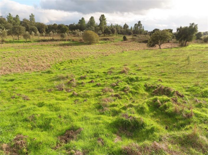 Image No.4-Propriété à vendre à Castelo Branco