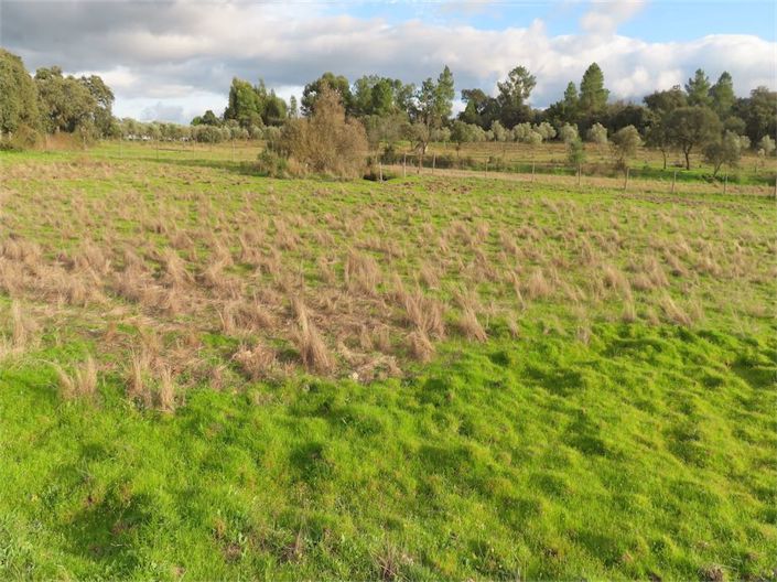 Image No.5-Propriété à vendre à Castelo Branco