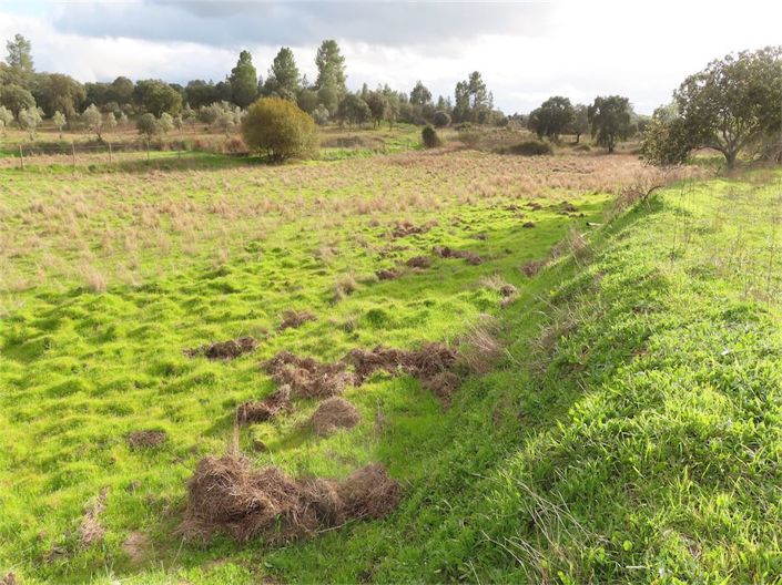 Image No.6-Propriété à vendre à Castelo Branco