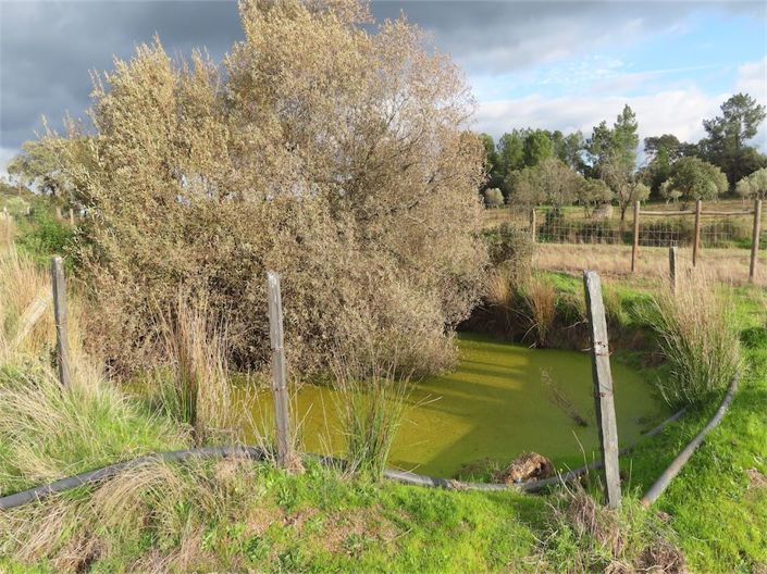 Image No.7-Propriété à vendre à Castelo Branco