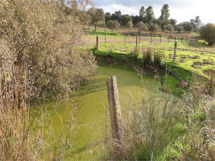 Image No.8-Propriété à vendre à Castelo Branco