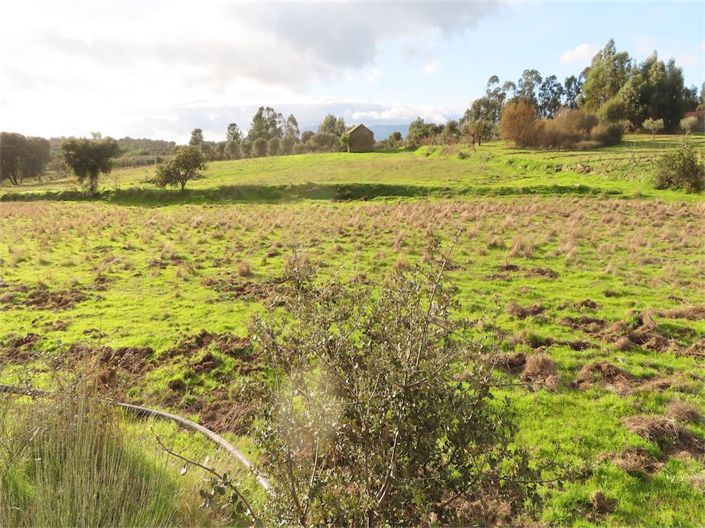 Image No.9-Propriété à vendre à Castelo Branco