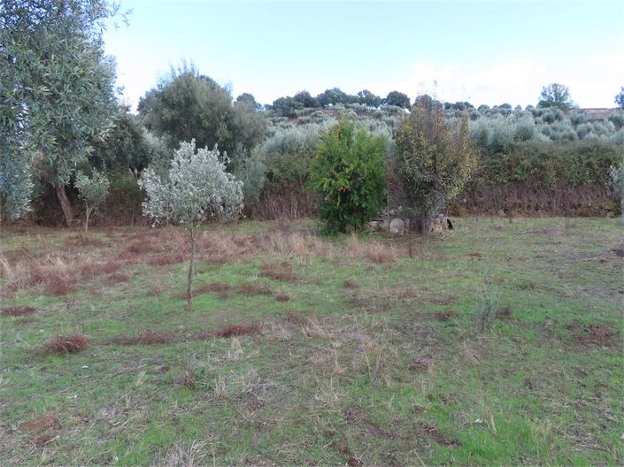 Image No.16-Propriété de 3 chambres à vendre à Castelo Branco