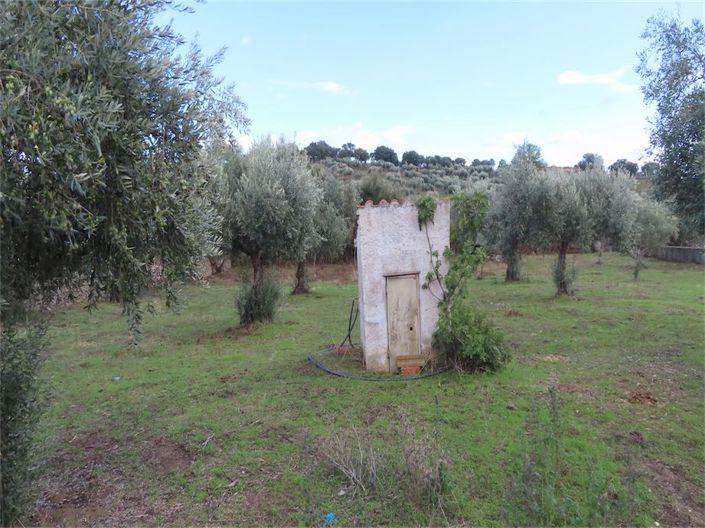 Image No.20-Propriété de 3 chambres à vendre à Castelo Branco