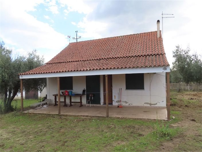 Image No.26-Propriété de 3 chambres à vendre à Castelo Branco