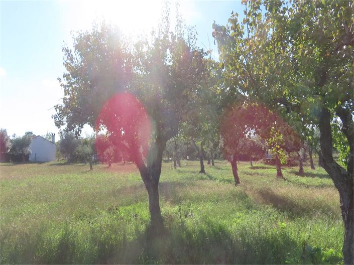 Image No.14-Propriété de 3 chambres à vendre à Castelo Branco