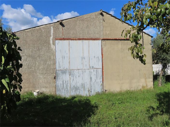 Image No.15-Propriété de 3 chambres à vendre à Castelo Branco