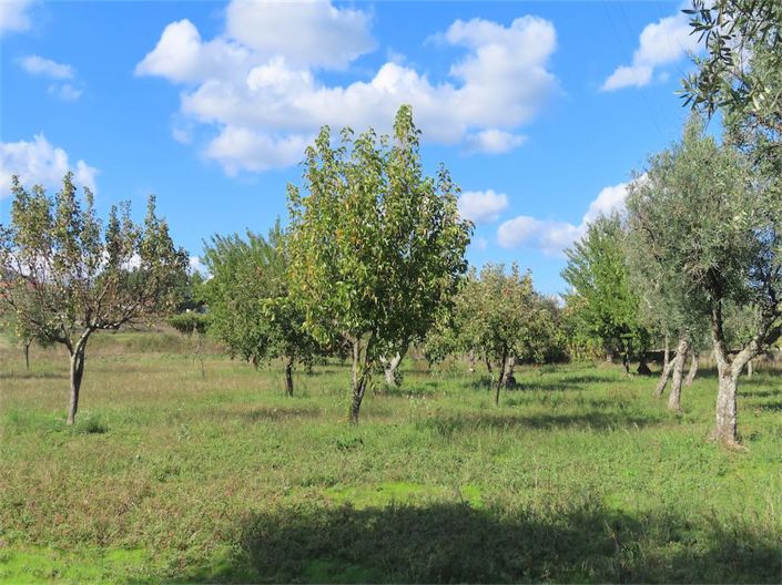 Image No.23-Propriété de 3 chambres à vendre à Castelo Branco