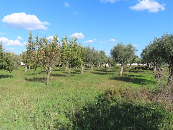 Image No.24-Propriété de 3 chambres à vendre à Castelo Branco