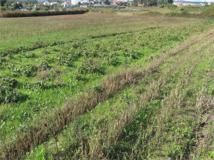 Image No.27-Propriété de 3 chambres à vendre à Castelo Branco