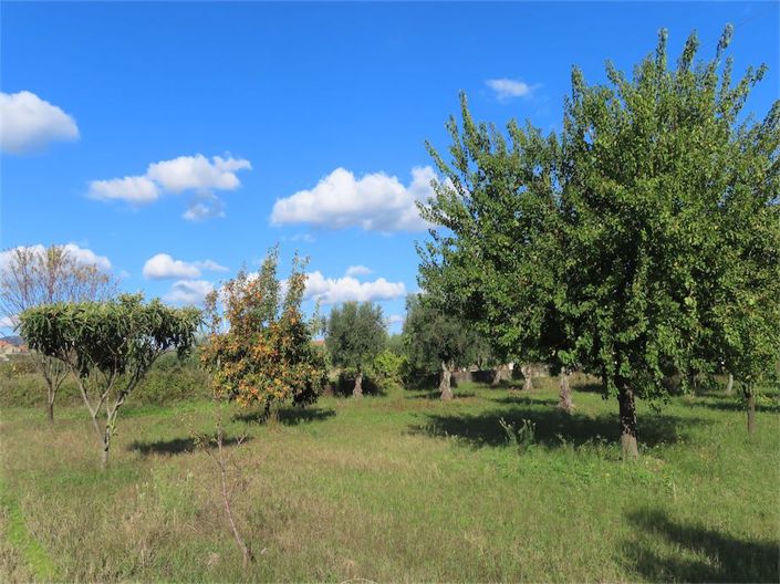 Image No.29-Propriété de 3 chambres à vendre à Castelo Branco