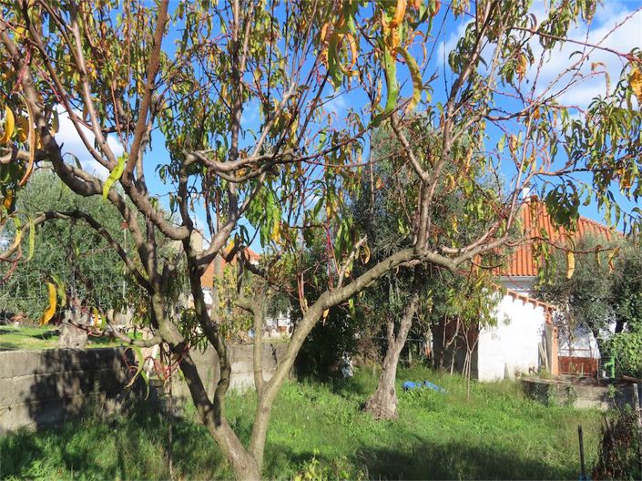 Image No.39-Propriété de 3 chambres à vendre à Castelo Branco