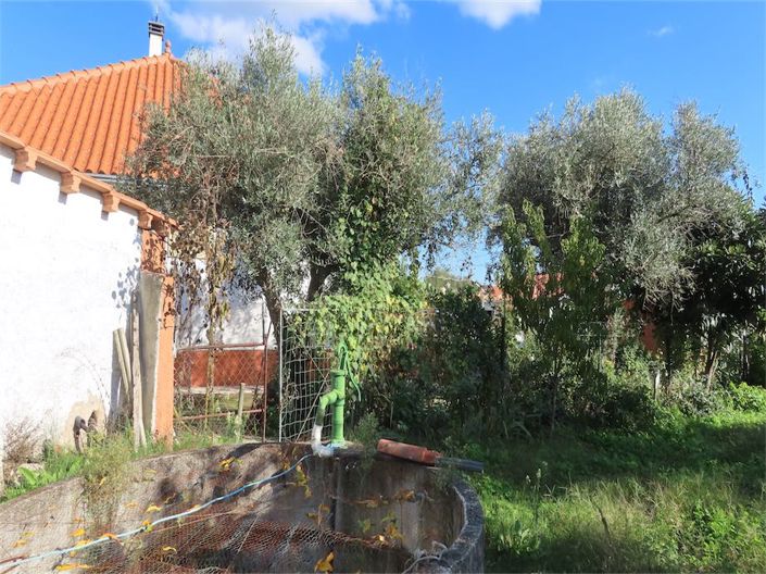 Image No.40-Propriété de 3 chambres à vendre à Castelo Branco