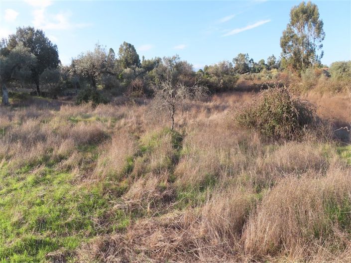 Image No.10-Propriété à vendre à Castelo Branco