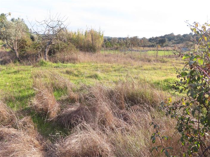 Image No.15-Propriété à vendre à Castelo Branco