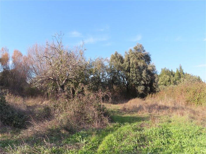 Image No.16-Propriété à vendre à Castelo Branco