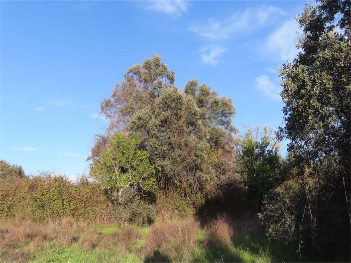 Image No.17-Propriété à vendre à Castelo Branco