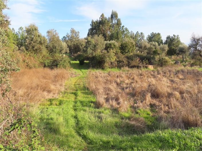 Image No.18-Propriété à vendre à Castelo Branco