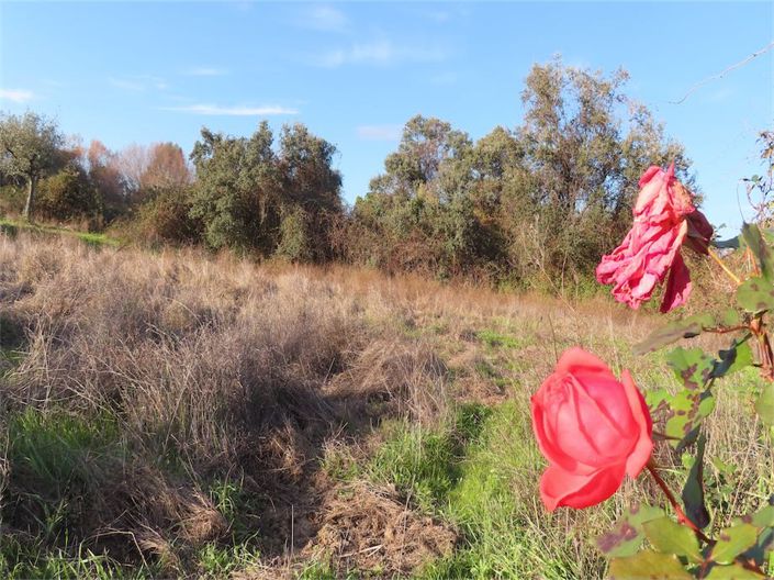 Image No.21-Propriété à vendre à Castelo Branco