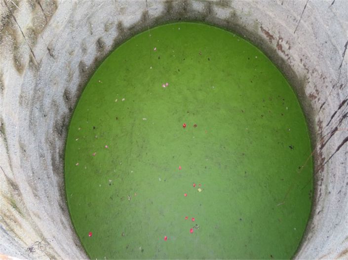 Image No.22-Propriété à vendre à Castelo Branco