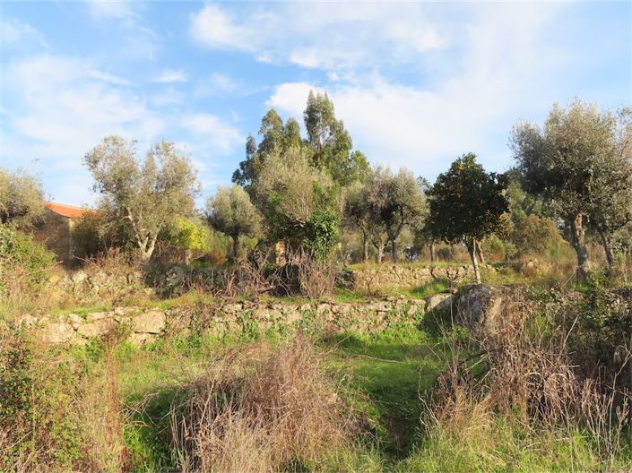 Image No.24-Propriété à vendre à Castelo Branco