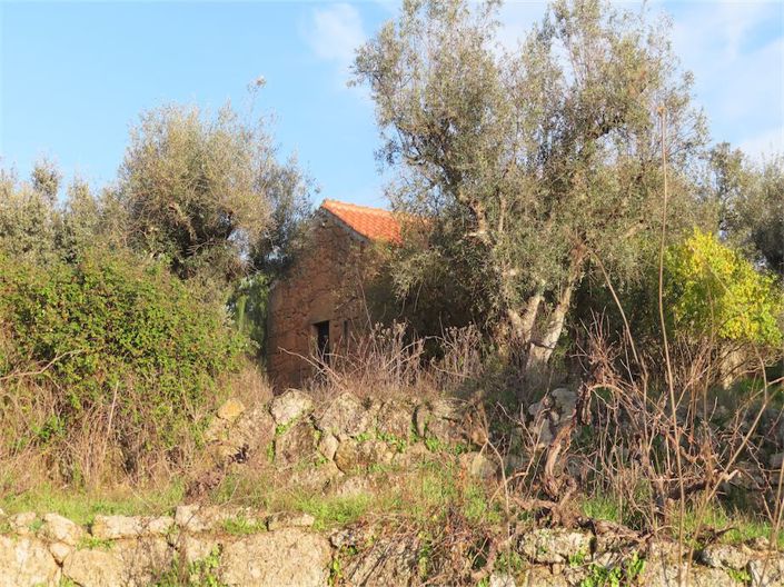 Image No.25-Propriété à vendre à Castelo Branco