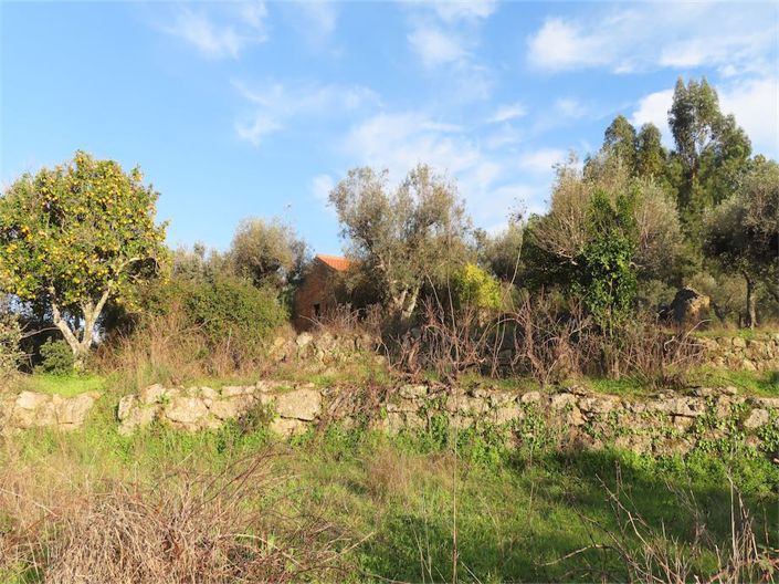 Image No.26-Propriété à vendre à Castelo Branco