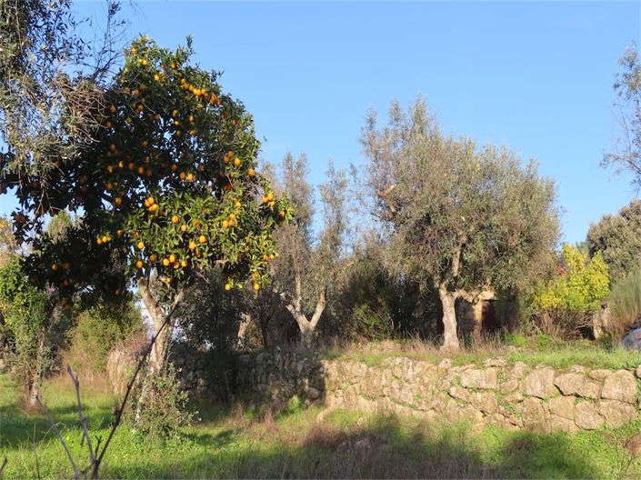 Image No.27-Propriété à vendre à Castelo Branco