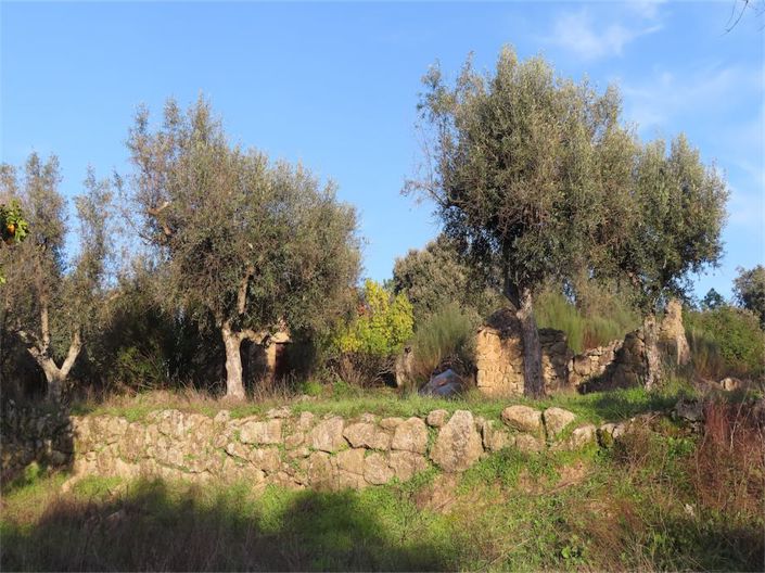 Image No.28-Propriété à vendre à Castelo Branco