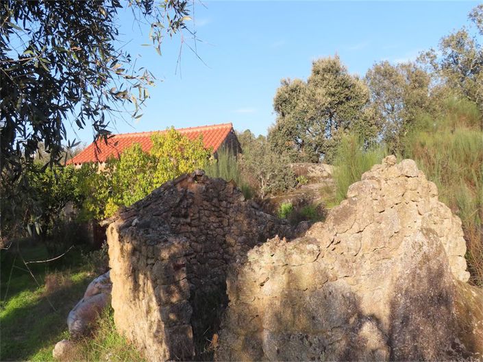 Image No.29-Propriété à vendre à Castelo Branco