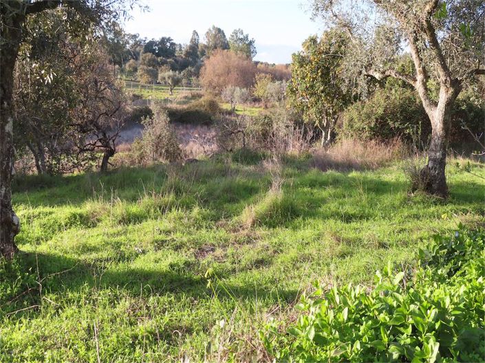 Image No.30-Propriété à vendre à Castelo Branco