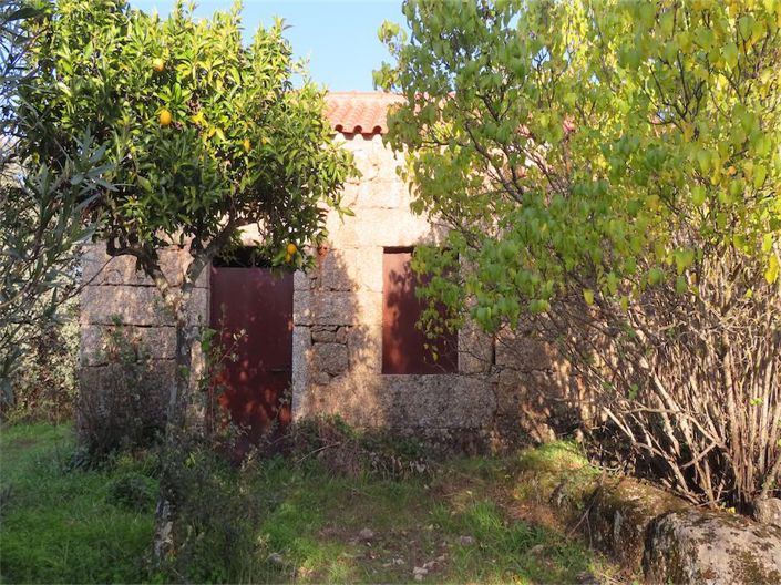 Image No.31-Propriété à vendre à Castelo Branco