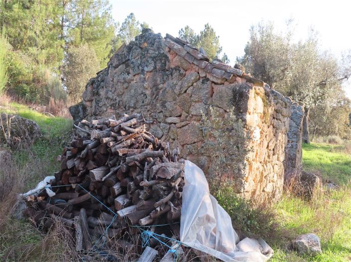 Image No.32-Propriété à vendre à Castelo Branco