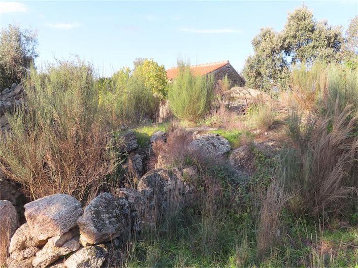 Image No.35-Propriété à vendre à Castelo Branco