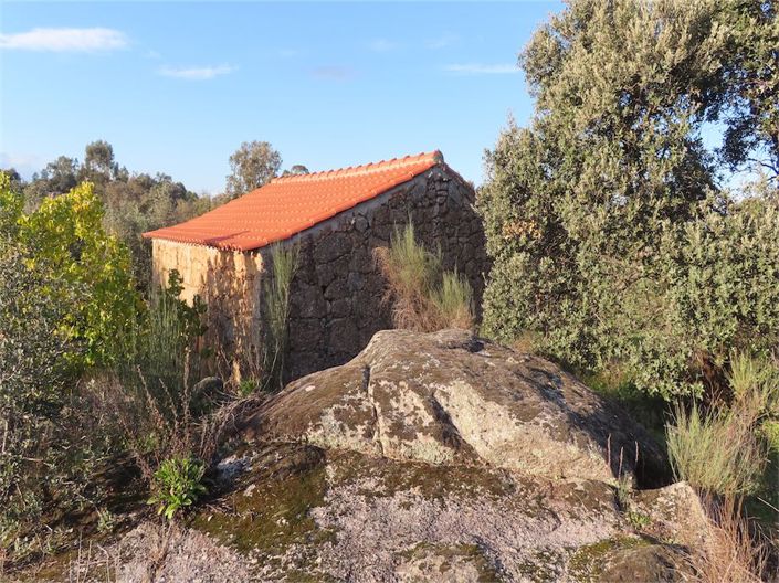 Image No.36-Propriété à vendre à Castelo Branco