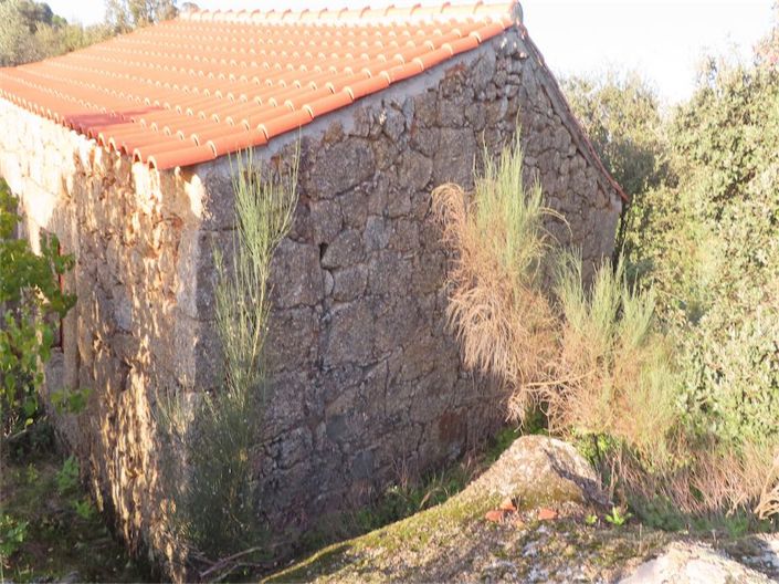 Image No.37-Propriété à vendre à Castelo Branco