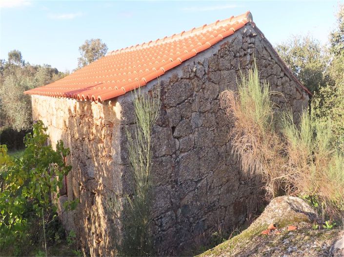 Image No.38-Propriété à vendre à Castelo Branco