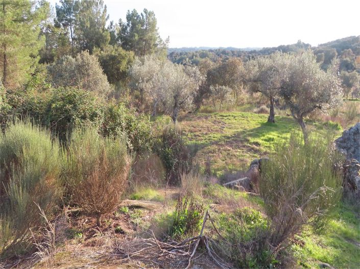 Image No.39-Propriété à vendre à Castelo Branco