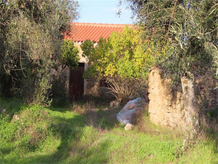 Image No.4-Propriété à vendre à Castelo Branco