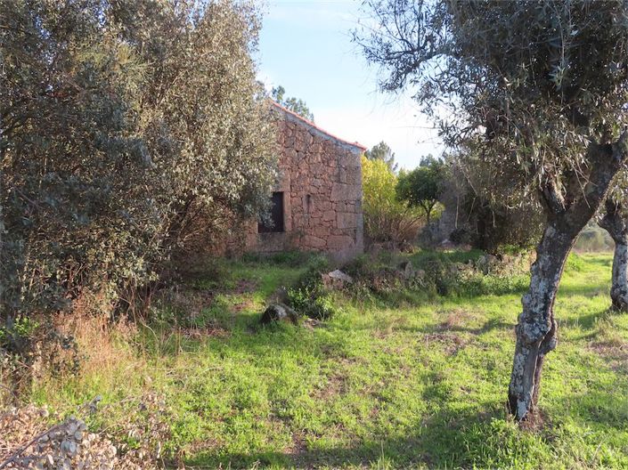 Image No.44-Propriété à vendre à Castelo Branco