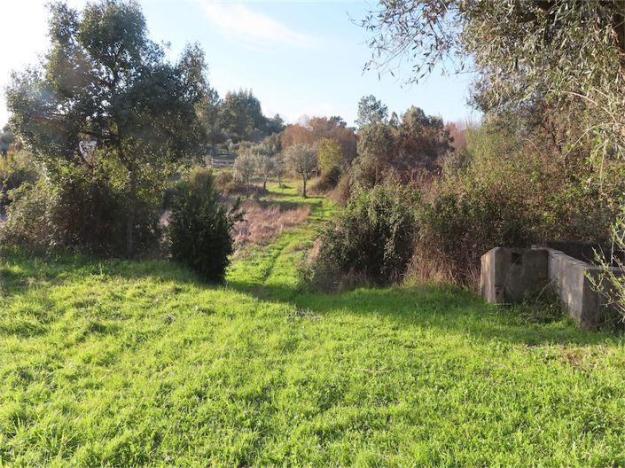 Image No.45-Propriété à vendre à Castelo Branco