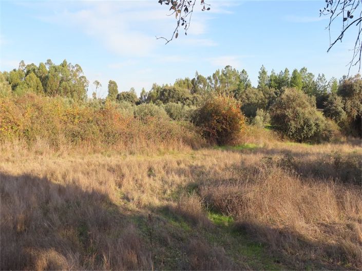 Image No.9-Propriété à vendre à Castelo Branco