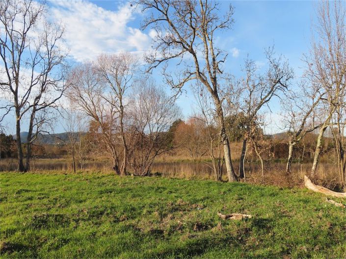 Image No.15-Propriété à vendre à Castelo Branco