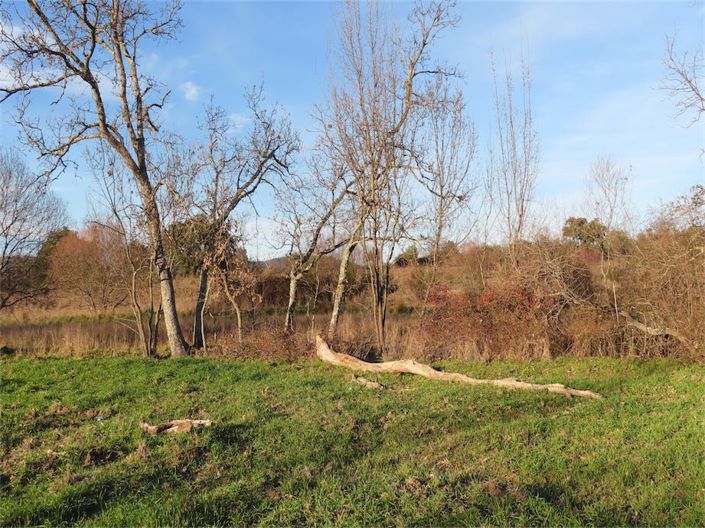 Image No.16-Propriété à vendre à Castelo Branco