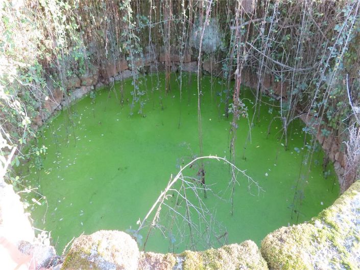 Image No.18-Propriété à vendre à Castelo Branco