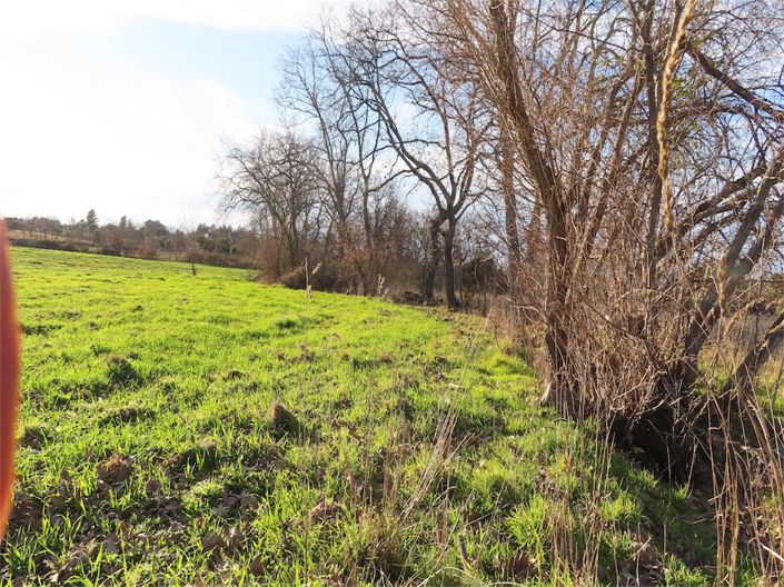 Image No.23-Propriété à vendre à Castelo Branco